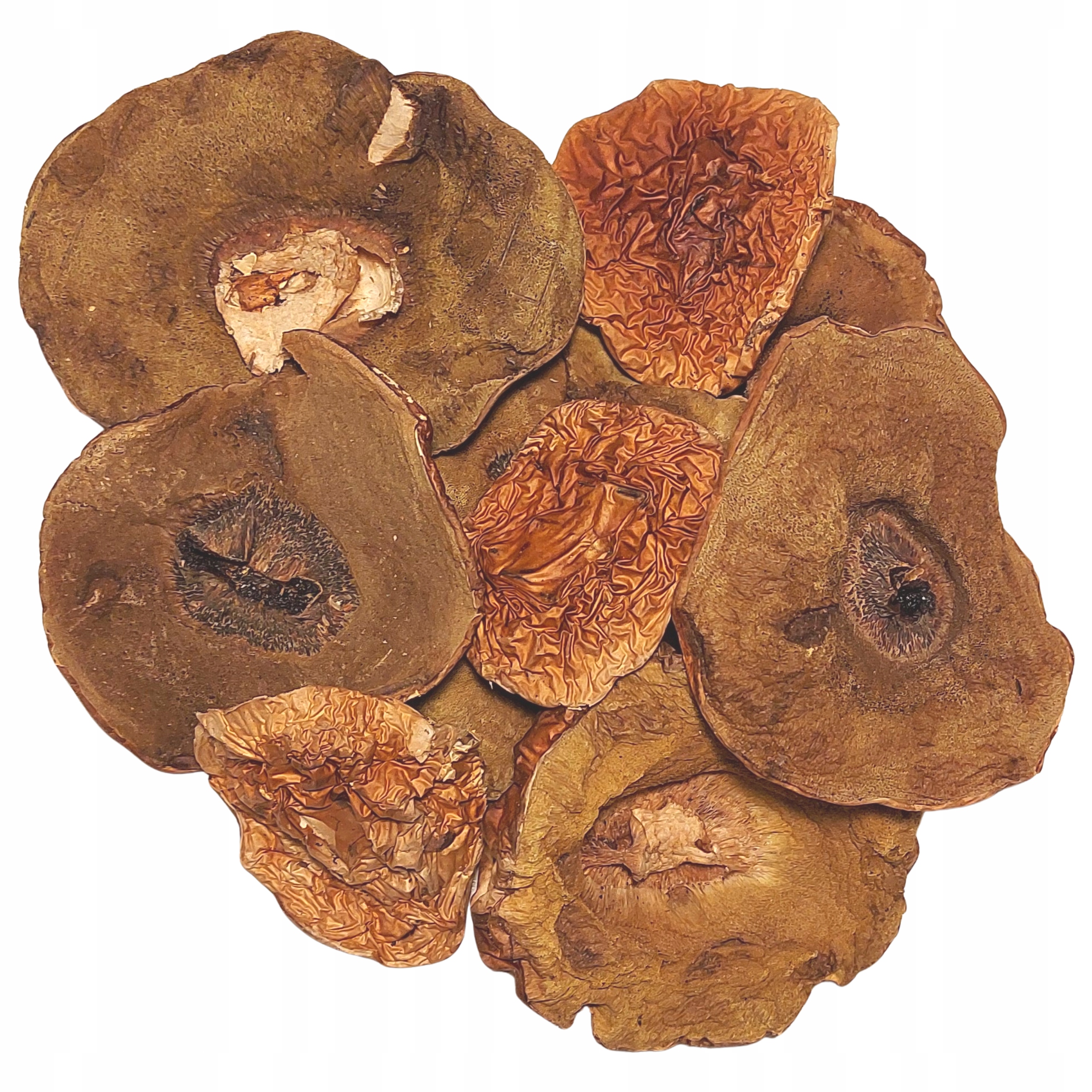 Borowiki suszone kapelusze całe 150g żółte grzyby suszone polskie 2025