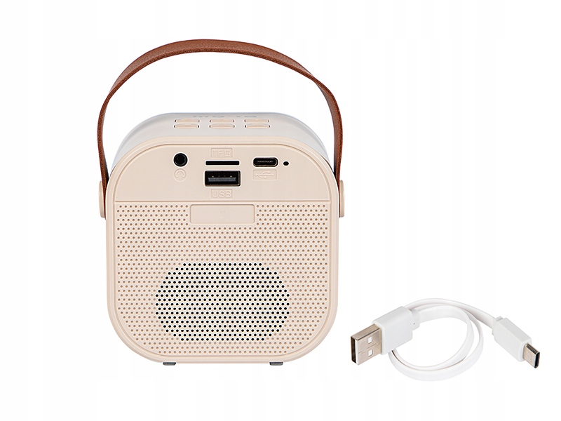 Głośnik Bluetooth KARAOKE RGB Model KARAOKE RGB