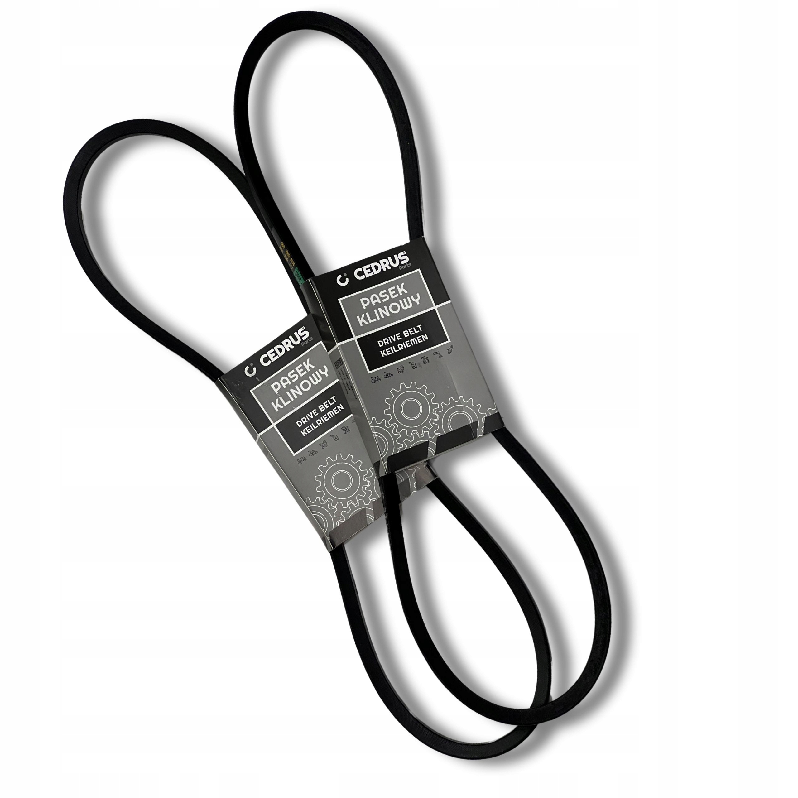 Pasek Klinowy Cedrus Rozdrabniacz RB02PRO 12,5X978 Zestaw 2 Sztuki