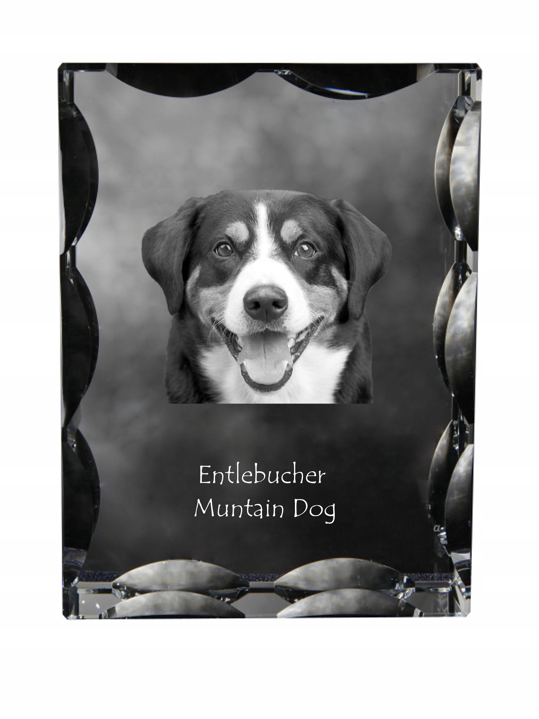 Entlebucher fotografia psa v ozdobnom kryštáli, suvenír, dekorácia domu