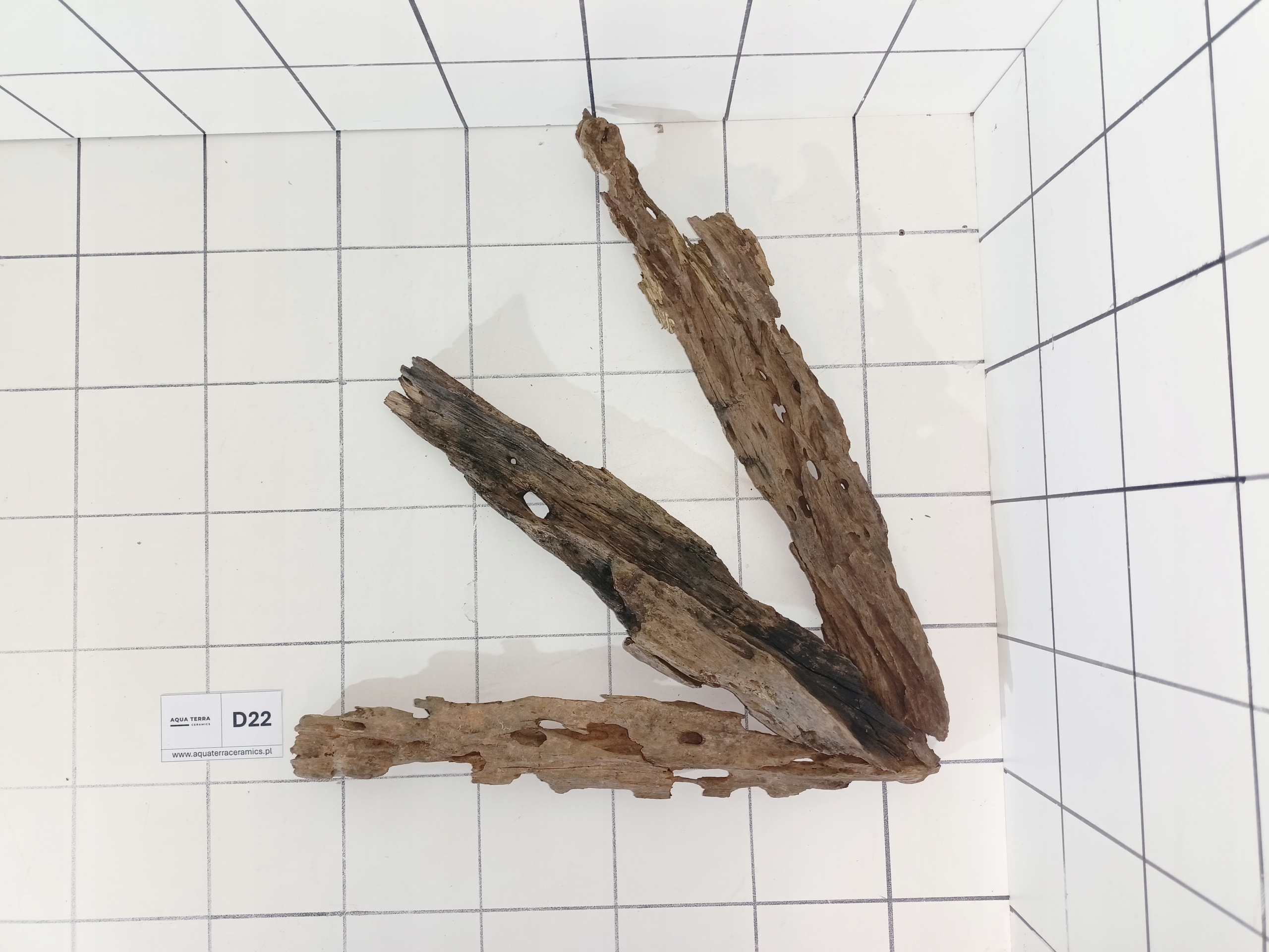 Korzeń Premium Dragon Wood Do Akwarium Terrarium D22 (to co na zdjęciu)