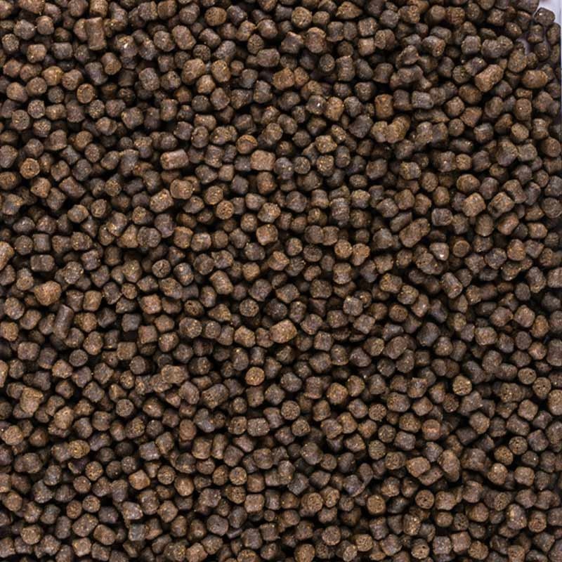 TROPICAL STERLET BASIC S pokarm dla jesiotrów 1l Postać granulat