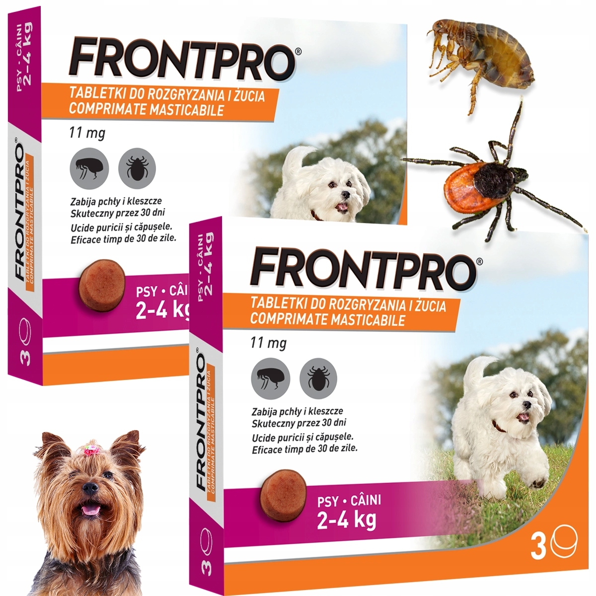 Frontpro tabletki 6 sztuk Pół Roku Kleszcze Pchły Pasożyty dla Psa 2-4 kg