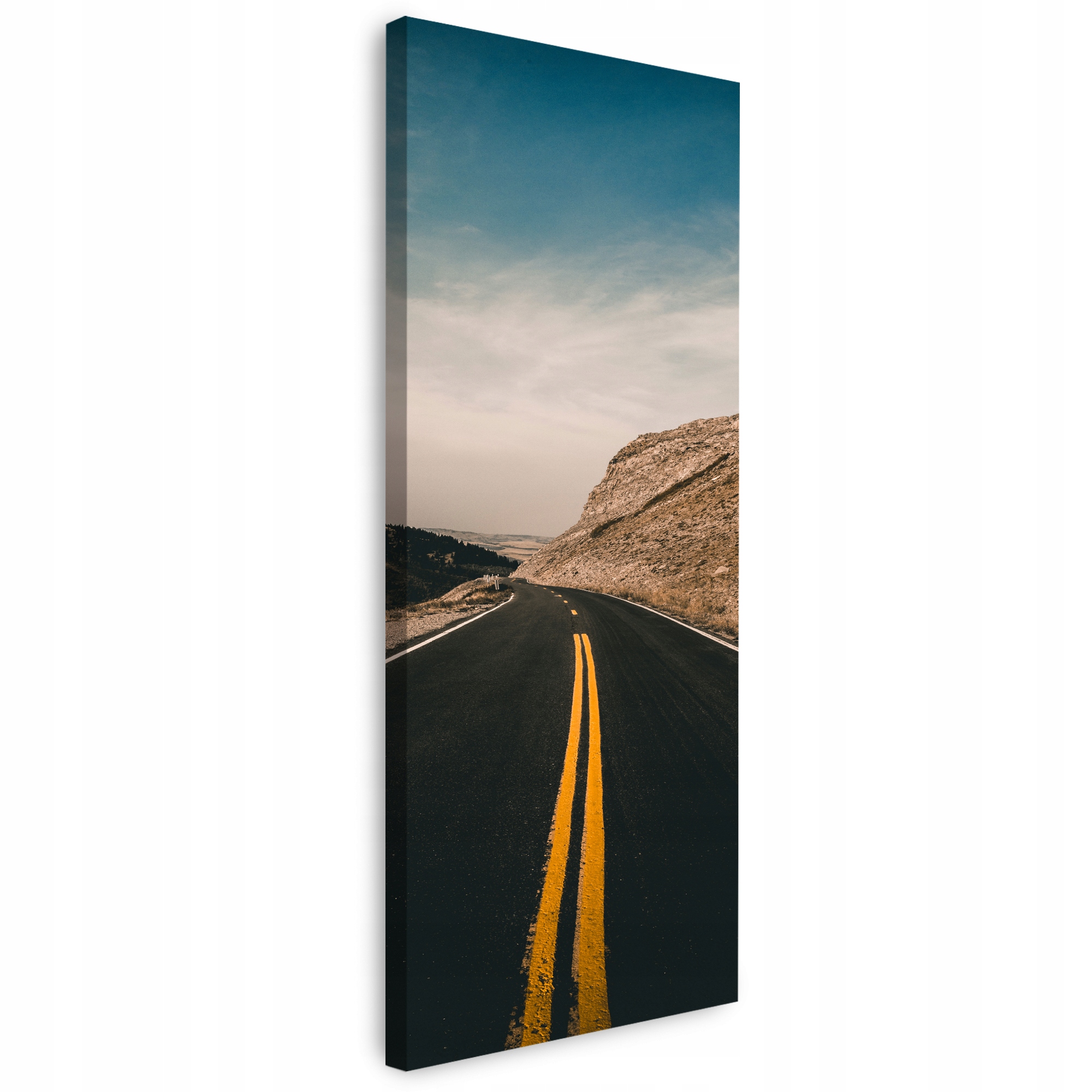 Obraz Canvas Příroda Cesta přes pouště 40x120 cm