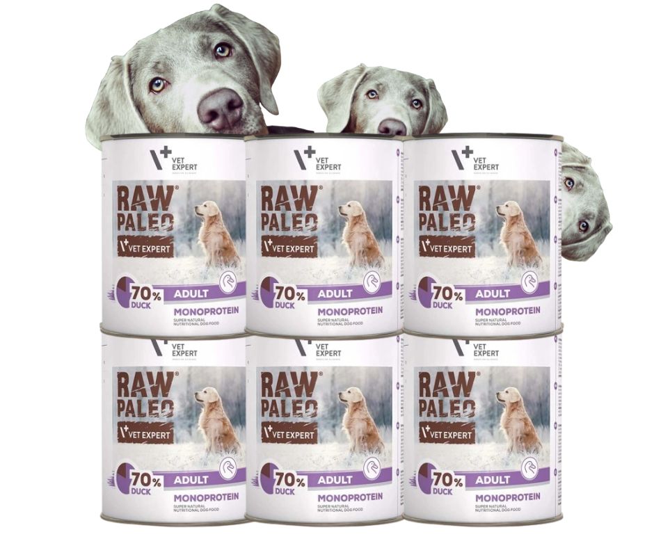 Raw Paleo Adult Monoprotein Vlhké Krmivo pro psa s kachnou, sada 6 x 800 g