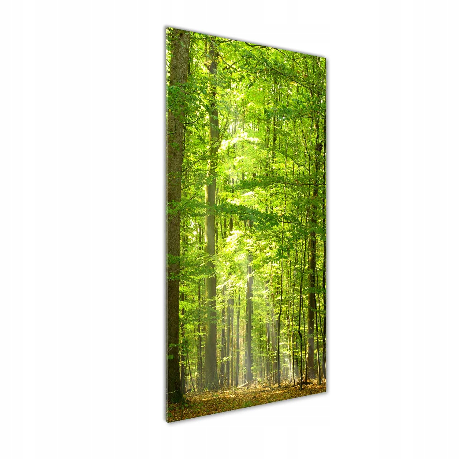 

Foto obraz szkło hartowane Las bukowy 50x125 cm