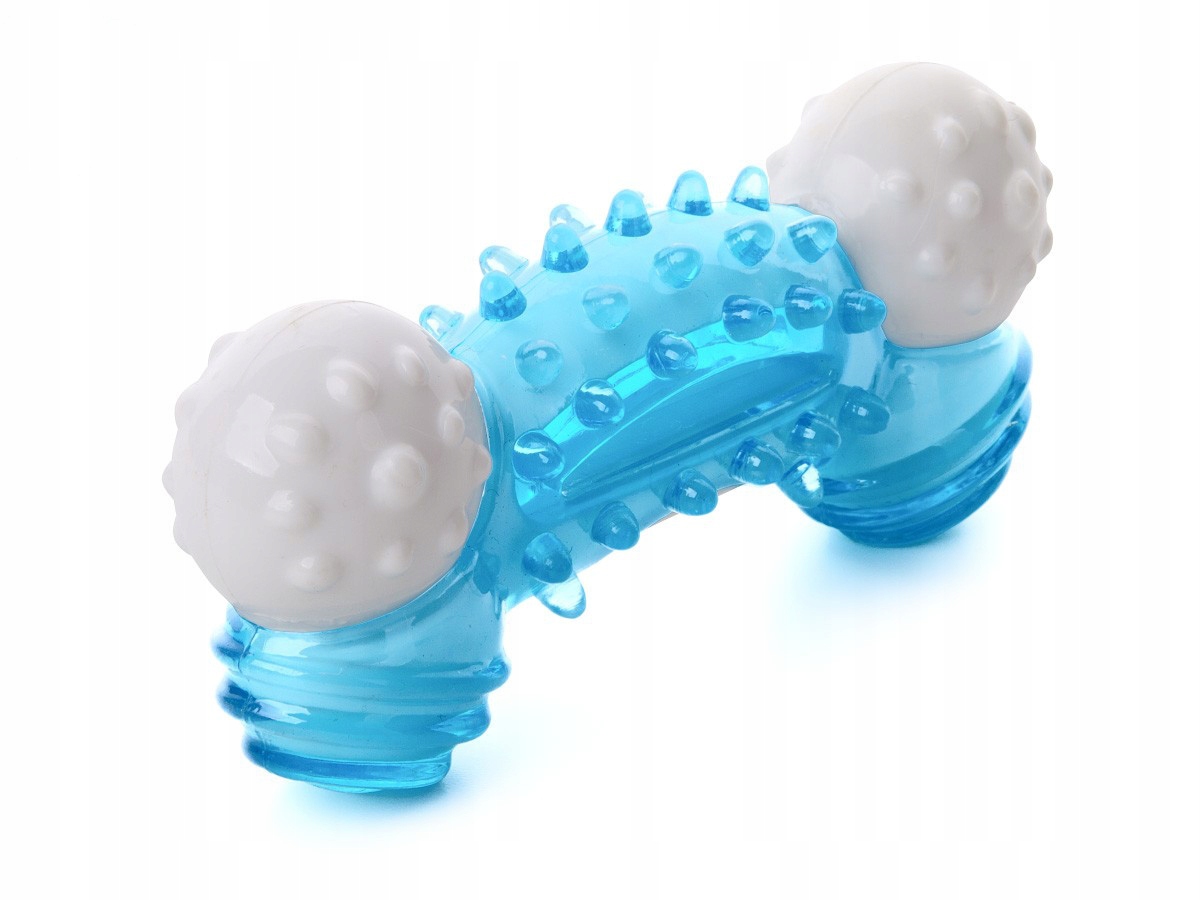 

Jk Animals Kość dental 12,5cm niebieska