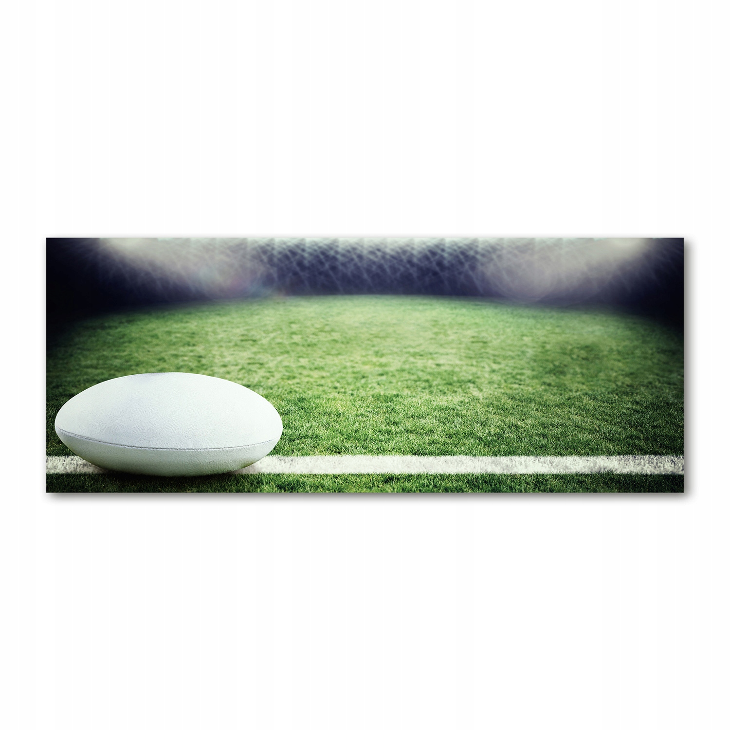 

Foto obraz akryl zdjęcie Piłka w rugby 125x50 cm