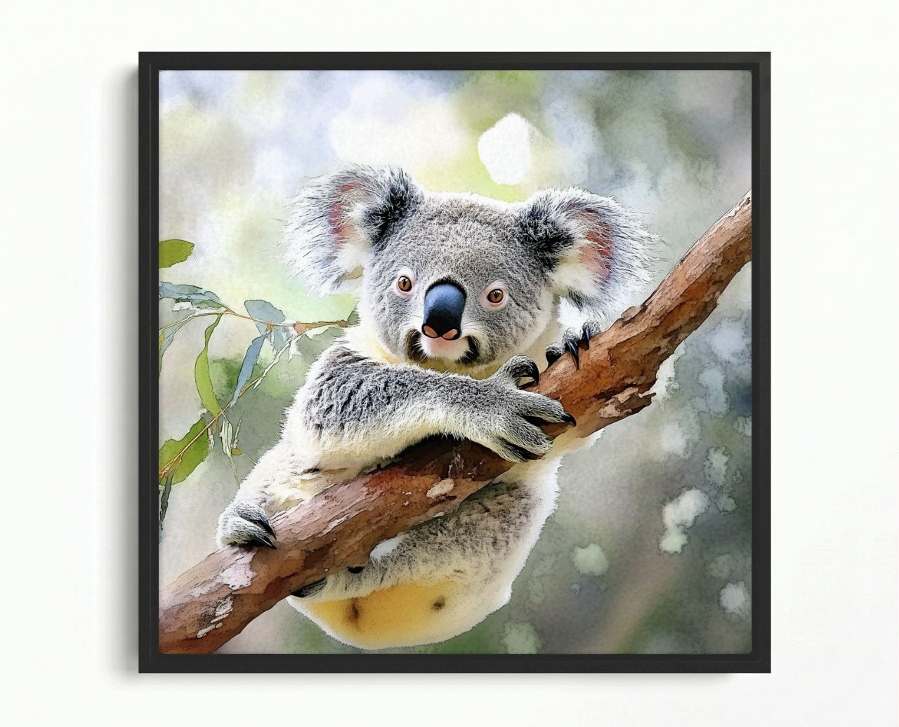 Obraz Rama American Box Fauna Příroda Austrálie Medvídek Koala 50x50