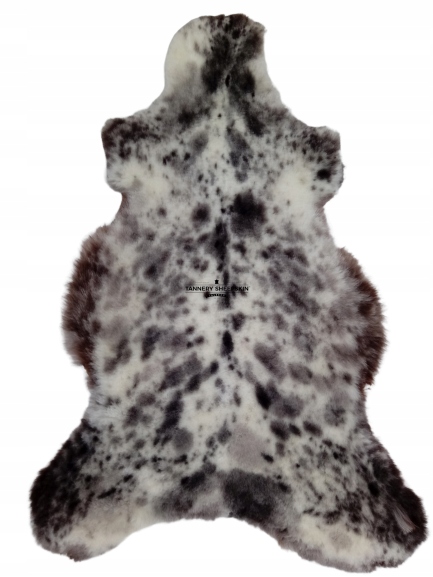 Ovčia koža Krátke vlasy Prírodné farby 100-120 cm