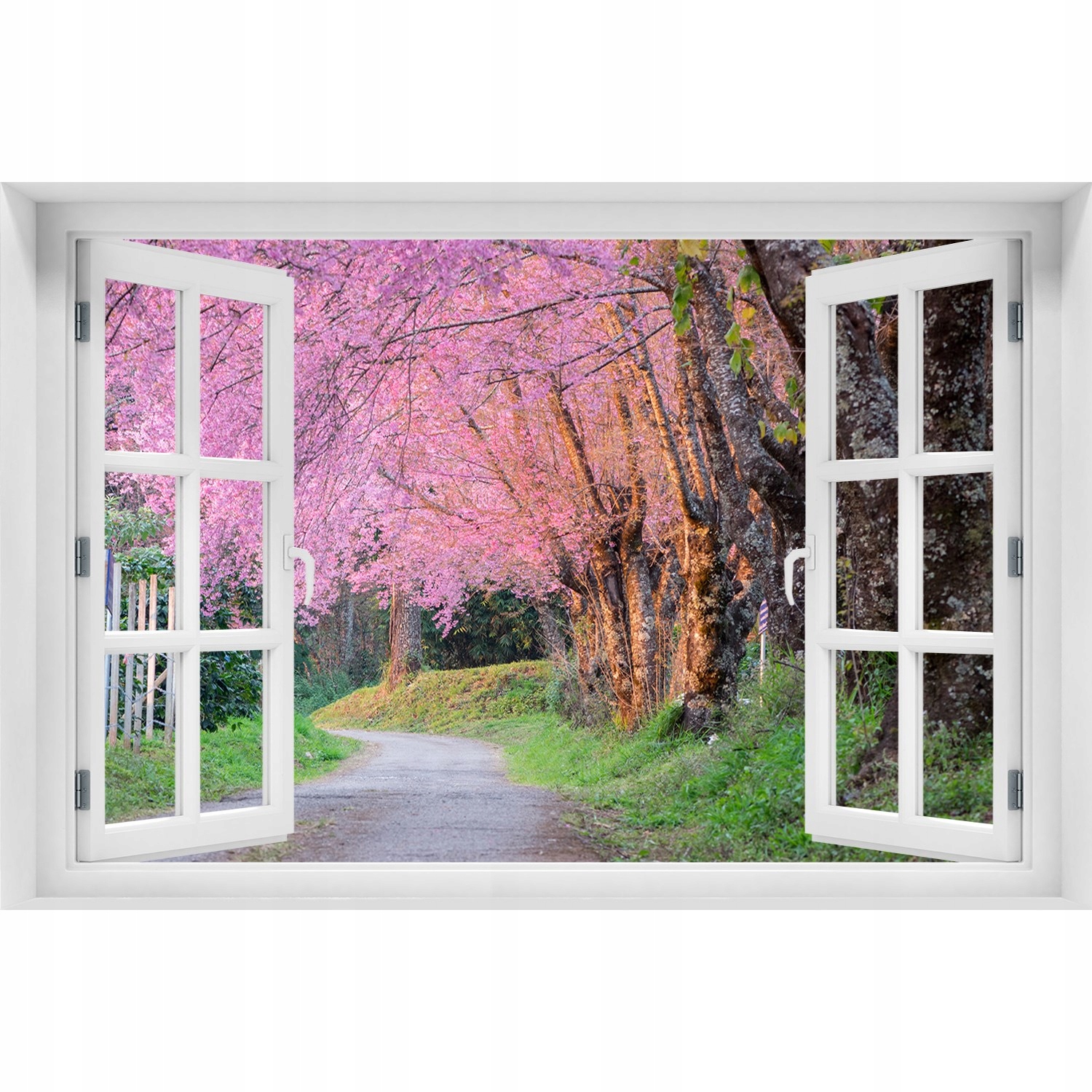 

Naklejka Fototapeta Okno widok Kwiaty wiśni 120x80
