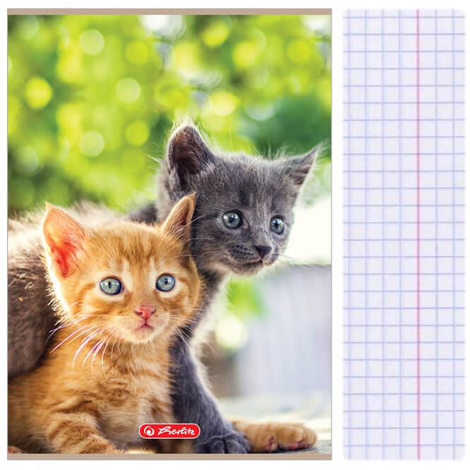 

Zeszyt A4 32kartki kratka w kratkę Animals Herlitz