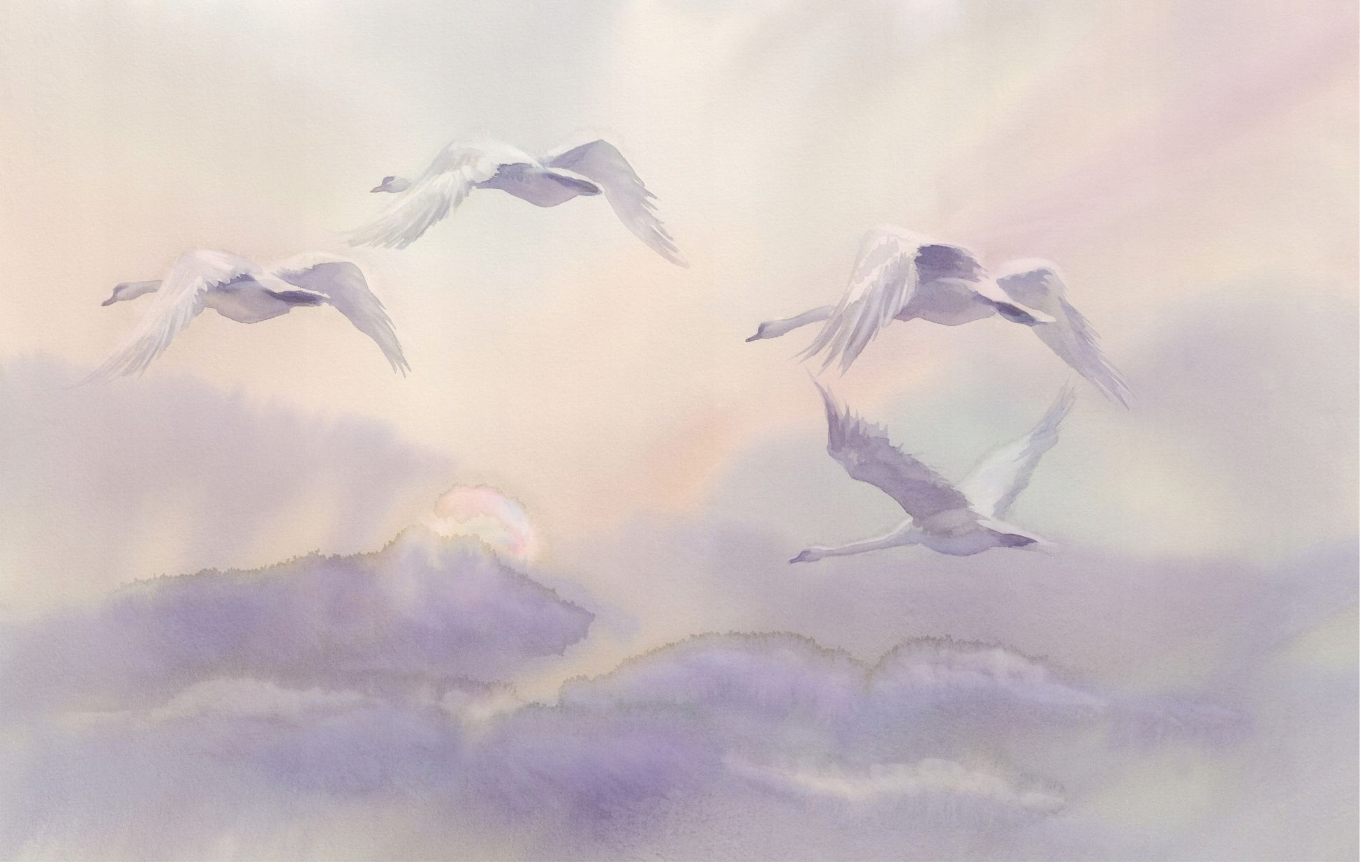 

Fototapety fototapeta na ścianę łabędzie 148x220