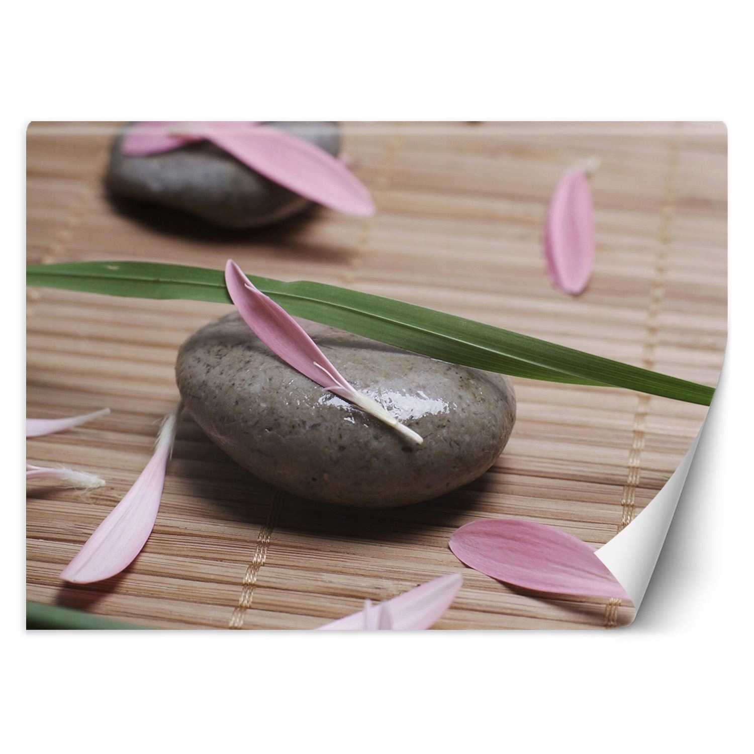 Fototapeta, Kámen okvětní lístky květin 200x140