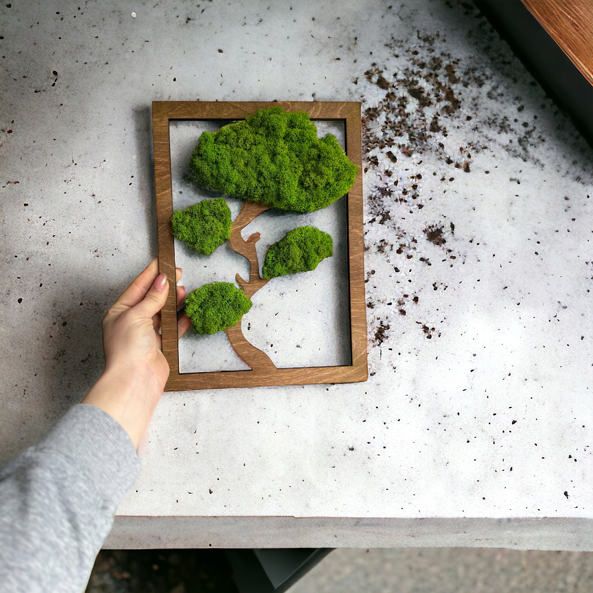 Drzewko NA PREZENT mech chrobotek OBRAZ na ściane drzewko BONSAI do salonu Wysokość produktu 30 cm