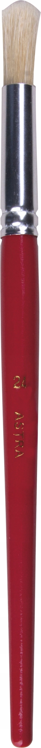 ASTRA PĘDZELKI SZKOLNE NR24 NA PLASTYKE