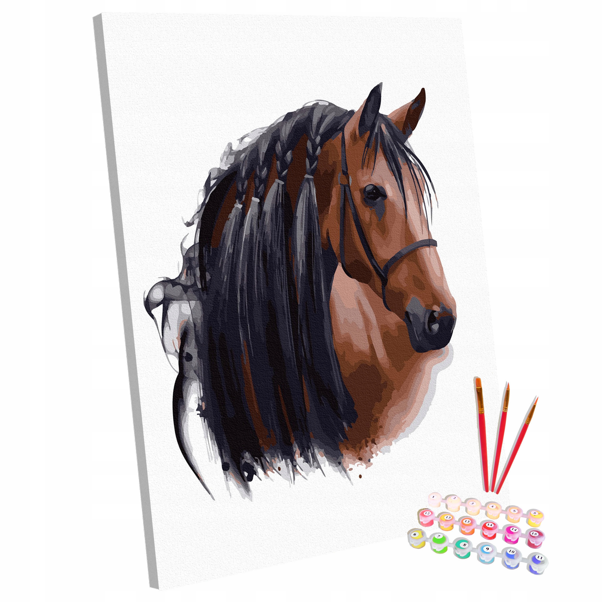 Sada Obraz na malování Malování Podle Čísel Na rámu Kůň 40x50 cm