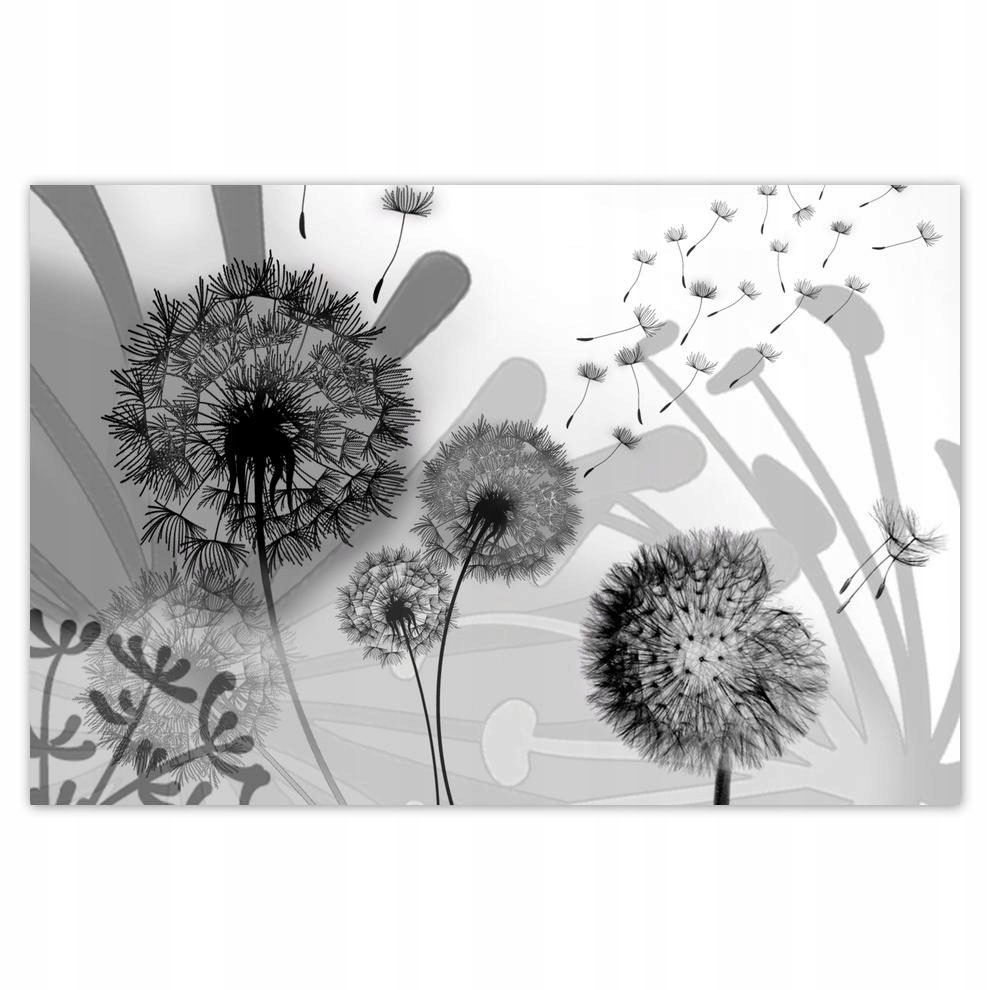 

Plakat 93x62 Dmuchawce B&w