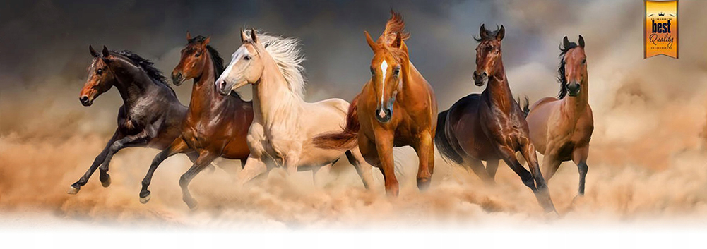 OGŁOWIE WESTERN Z UAS ROZ. Full Kod producenta 9844838