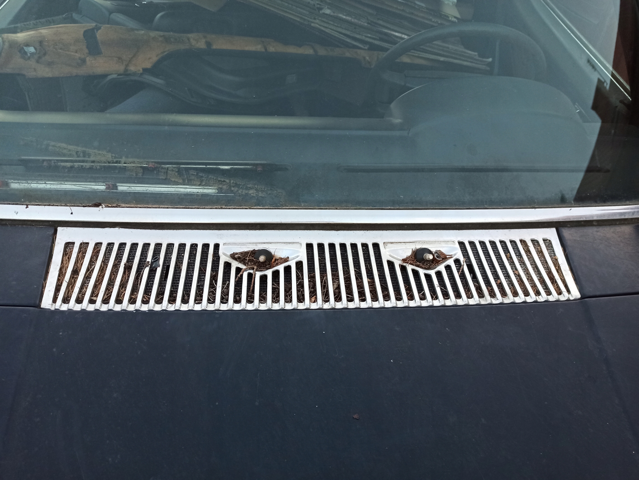 MERCEDES W116 решетка вентиляционного отверстия хром капота