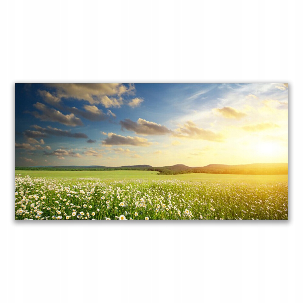 

Obraz akryl z grafiką 140x70 Łąka Kwiaty Krajobraz
