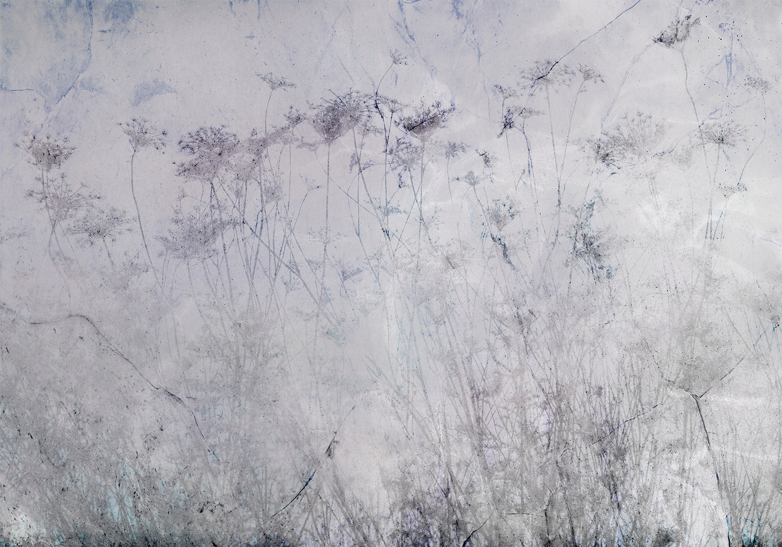 

Fototapeta Beton Łąka Natura 350x256 b-A-0824-a-c