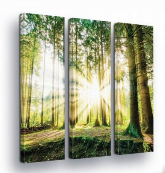 Obraz 90x100 Sluneční les sluneční paprsky lesní stezka příroda zeleň