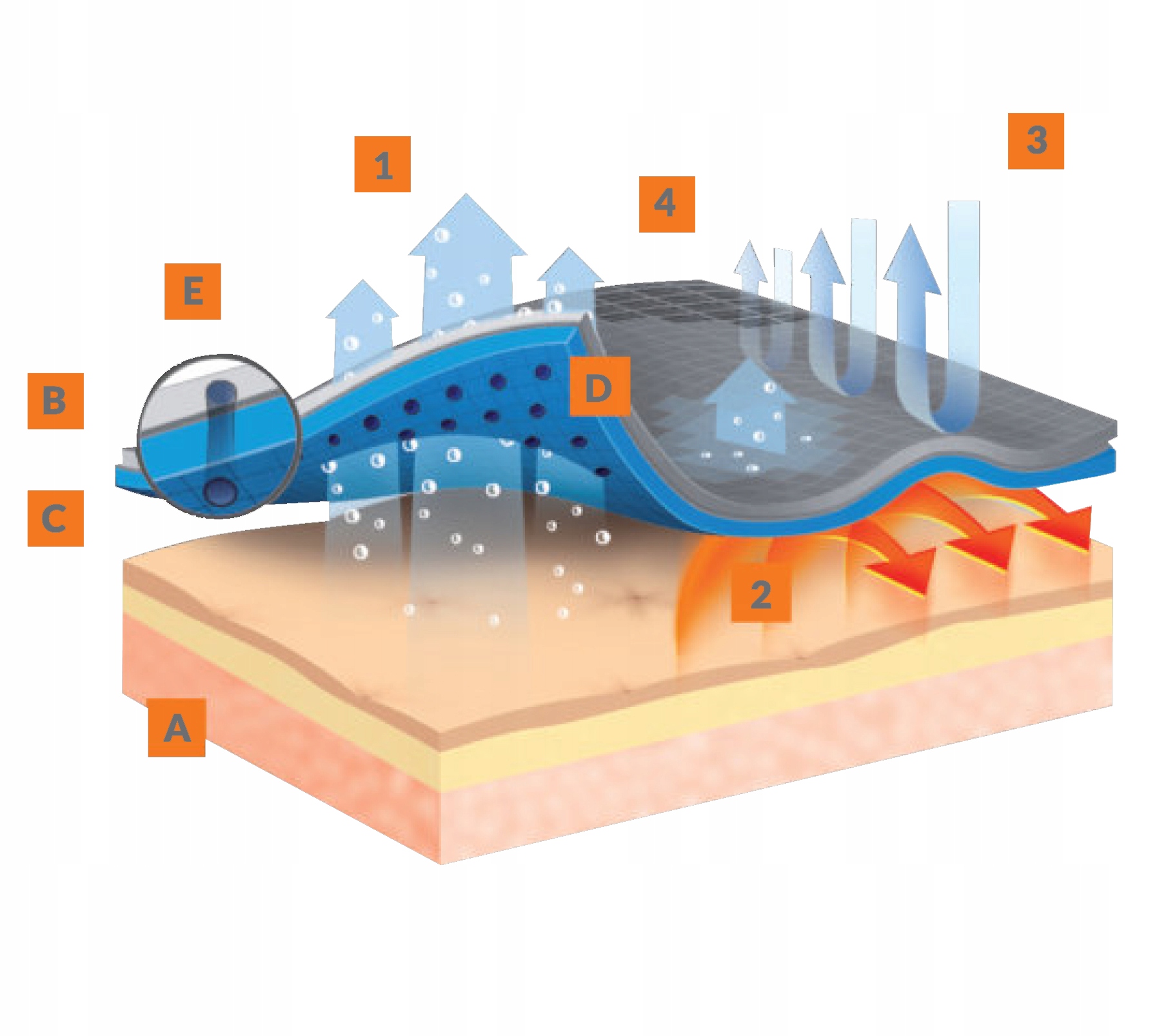 Ciepła bluza termoaktywna BRUBECK THERMO - S Kolekcja THERMO