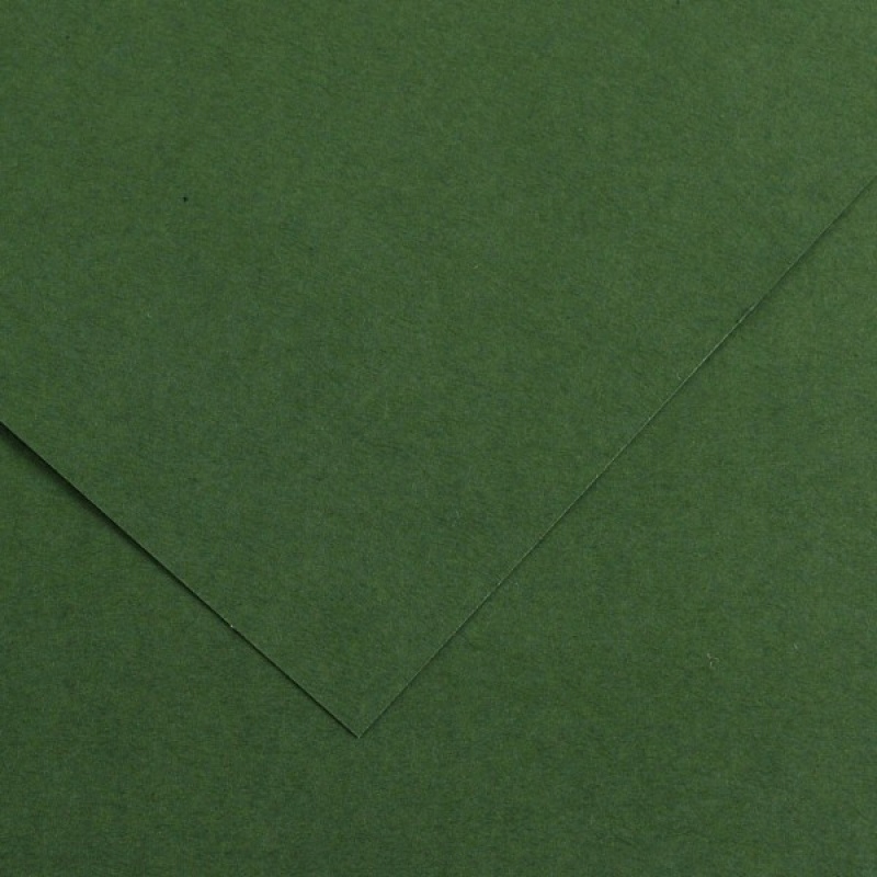 Levně Karton Colorline 50x65 150g 25 listů C.zeleň Dekorativní karton na vyřezávání