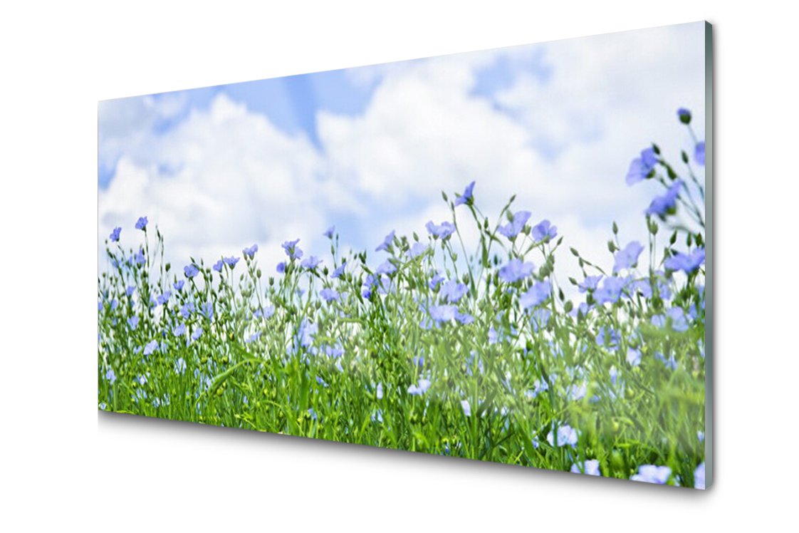 

Panel szklany dekor Kwiaty Roślina 140x70 + Klej