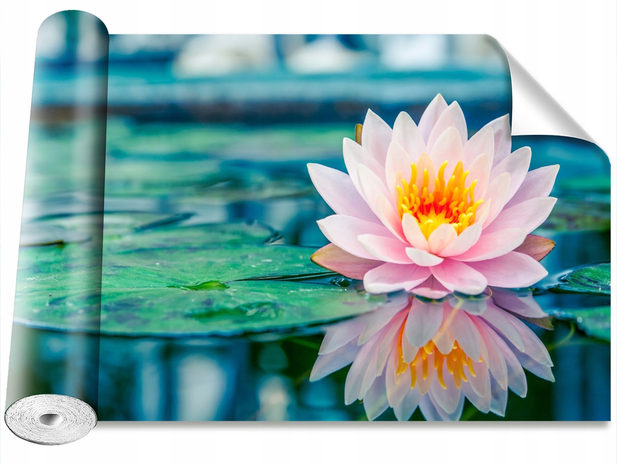 

Tapeta Samoprzylepna Różowy lotos 152x104