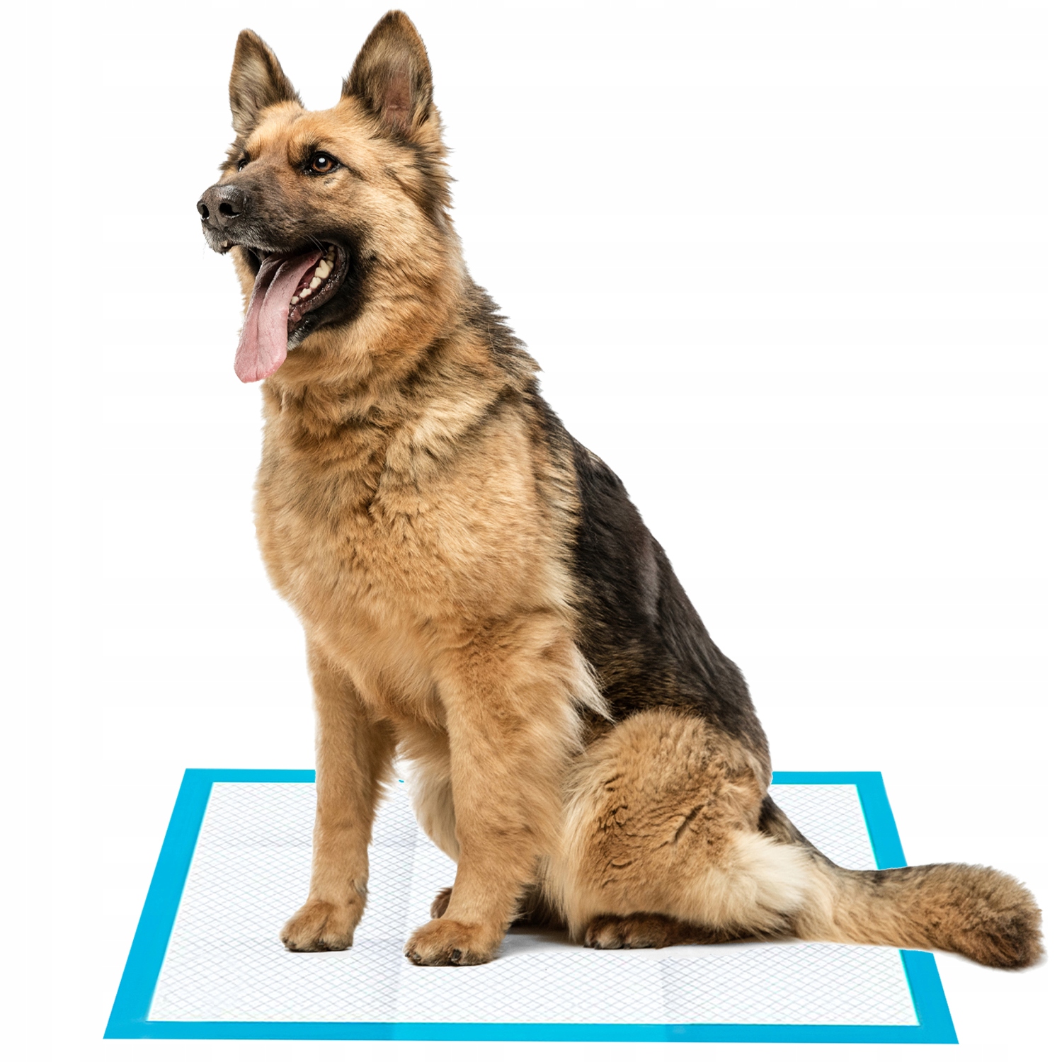 Levně Absorpční podložky a rohože 100 ks