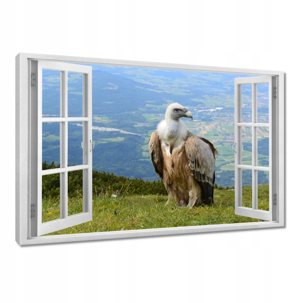 

Obrazy 120x80 Groźne spojrzenie