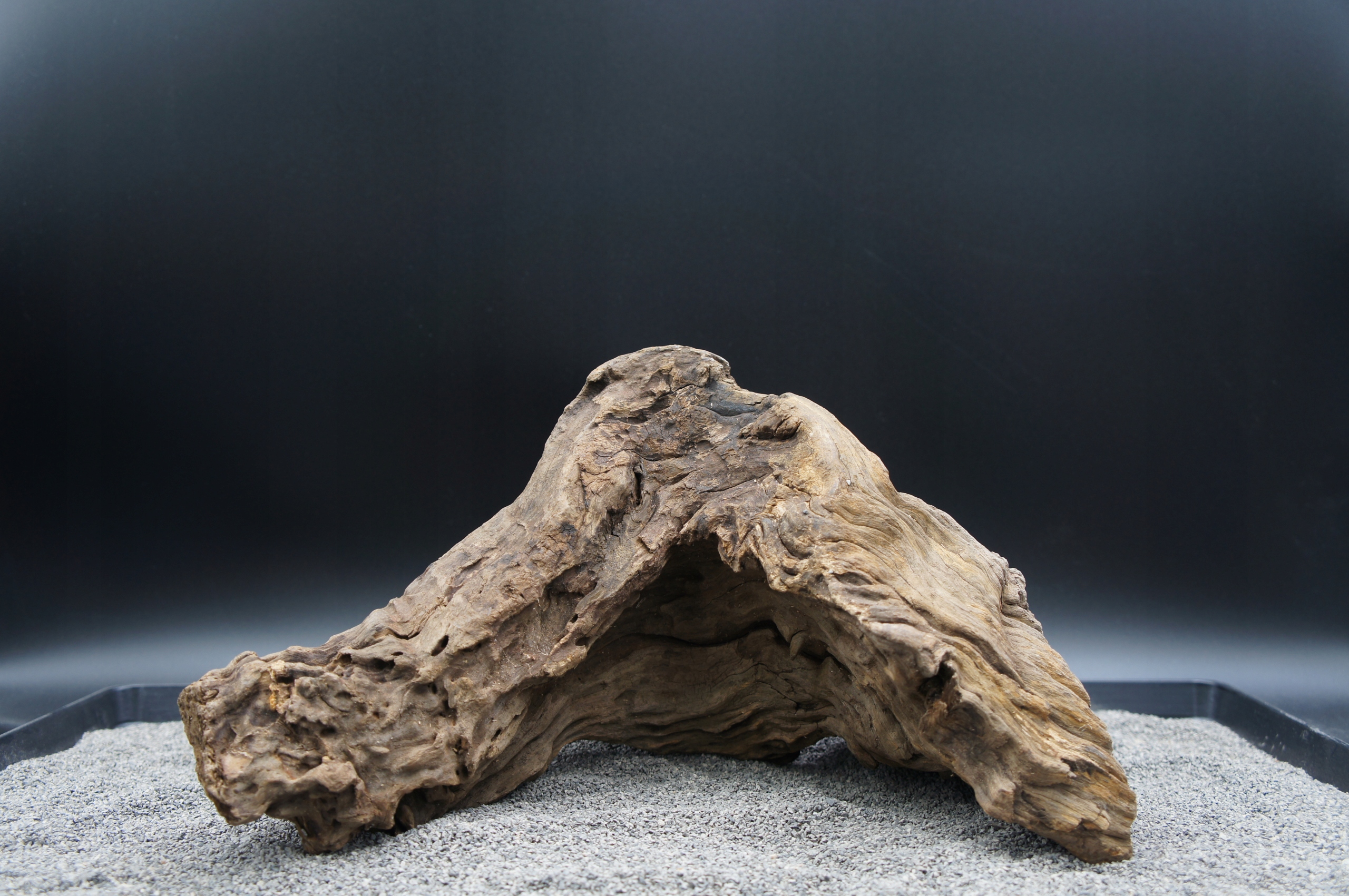 Kořen pro terarijní akvárium jagged wood 34 cm Ten, Co Je Na Obrázku (J38)