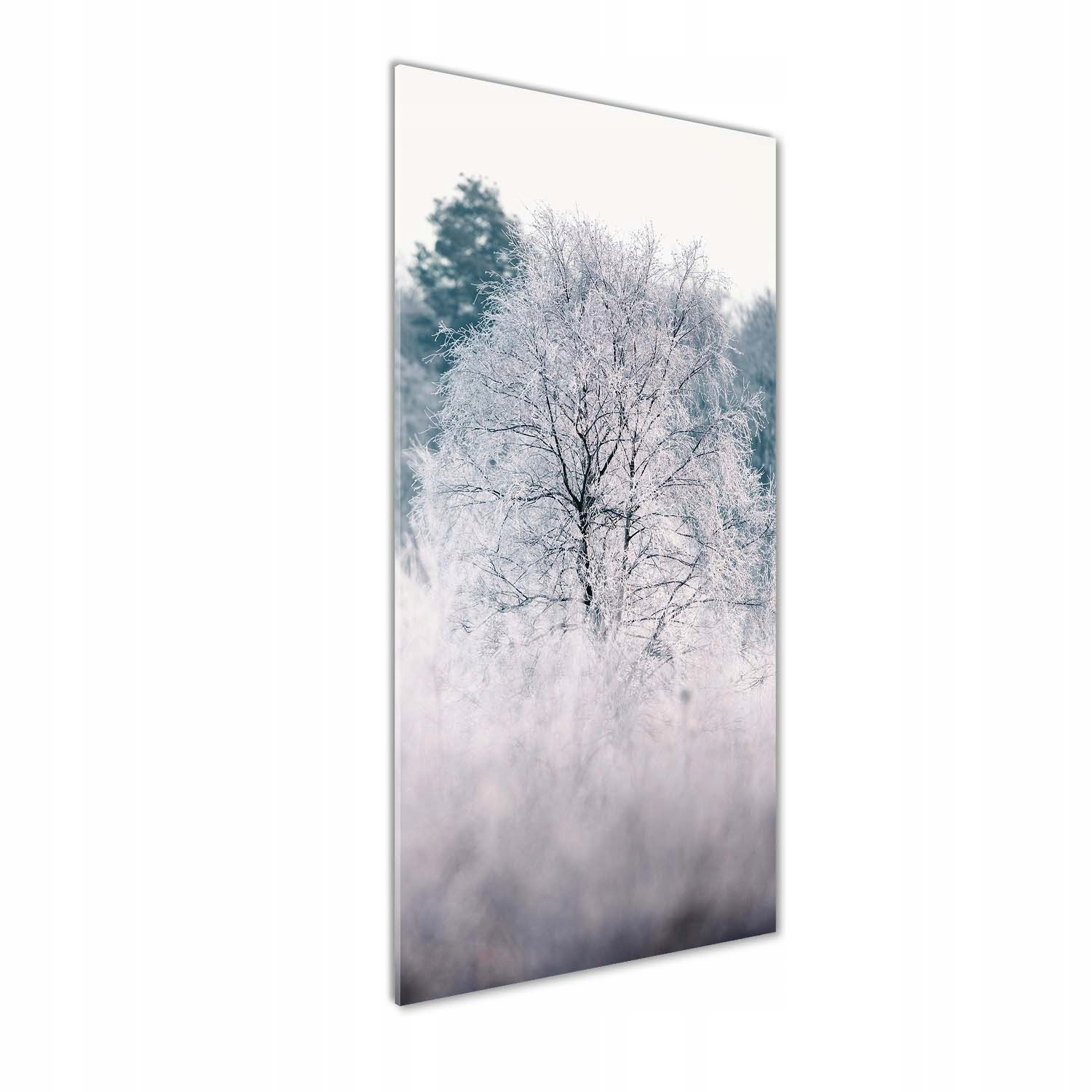 

Foto obraz akrylowy na ścianę Las zimą 50x125 cm