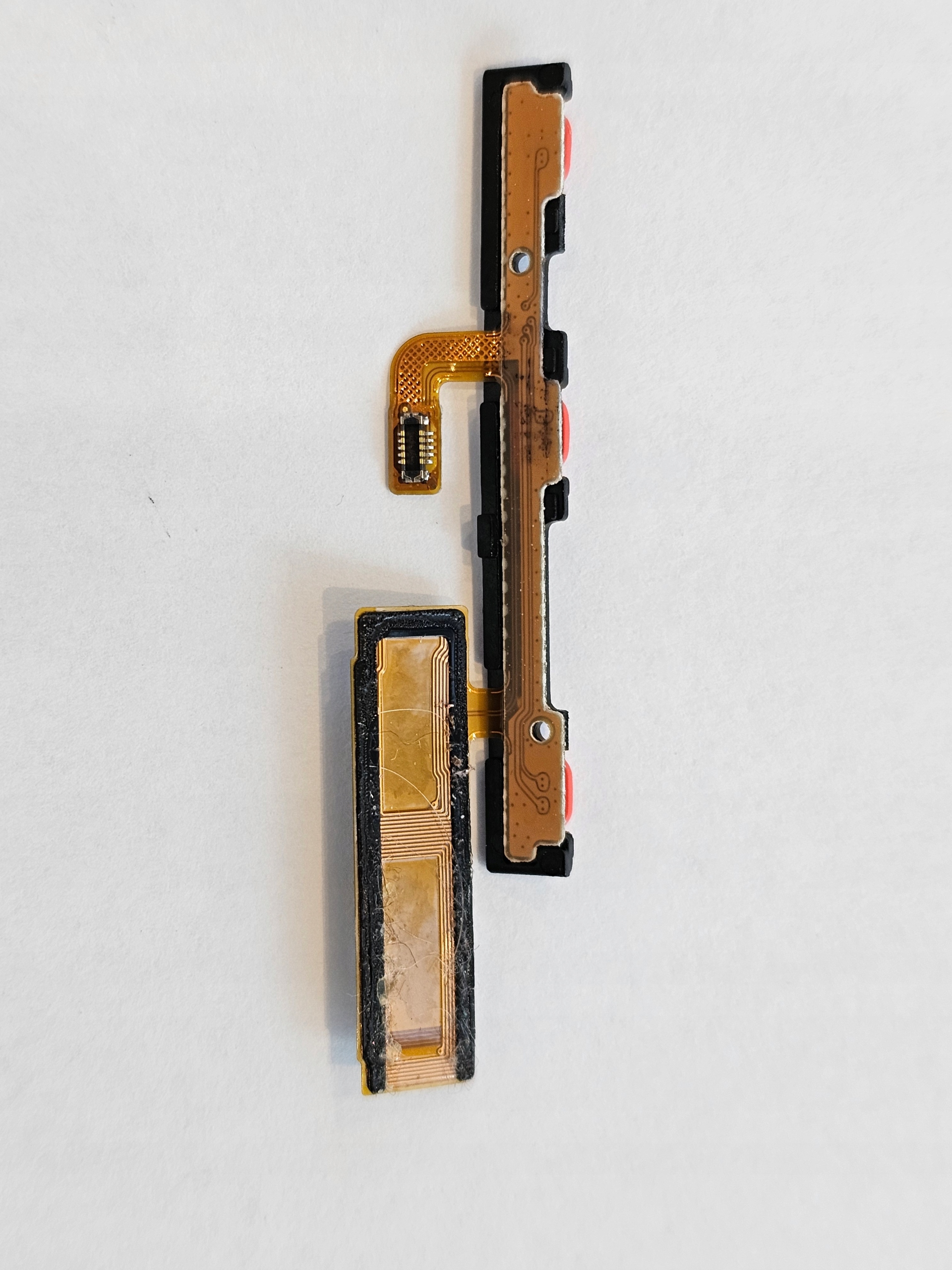 taśma włącznik Samsung Galaxy Note 10 lite n770 EAN (GTIN) 5604973456366