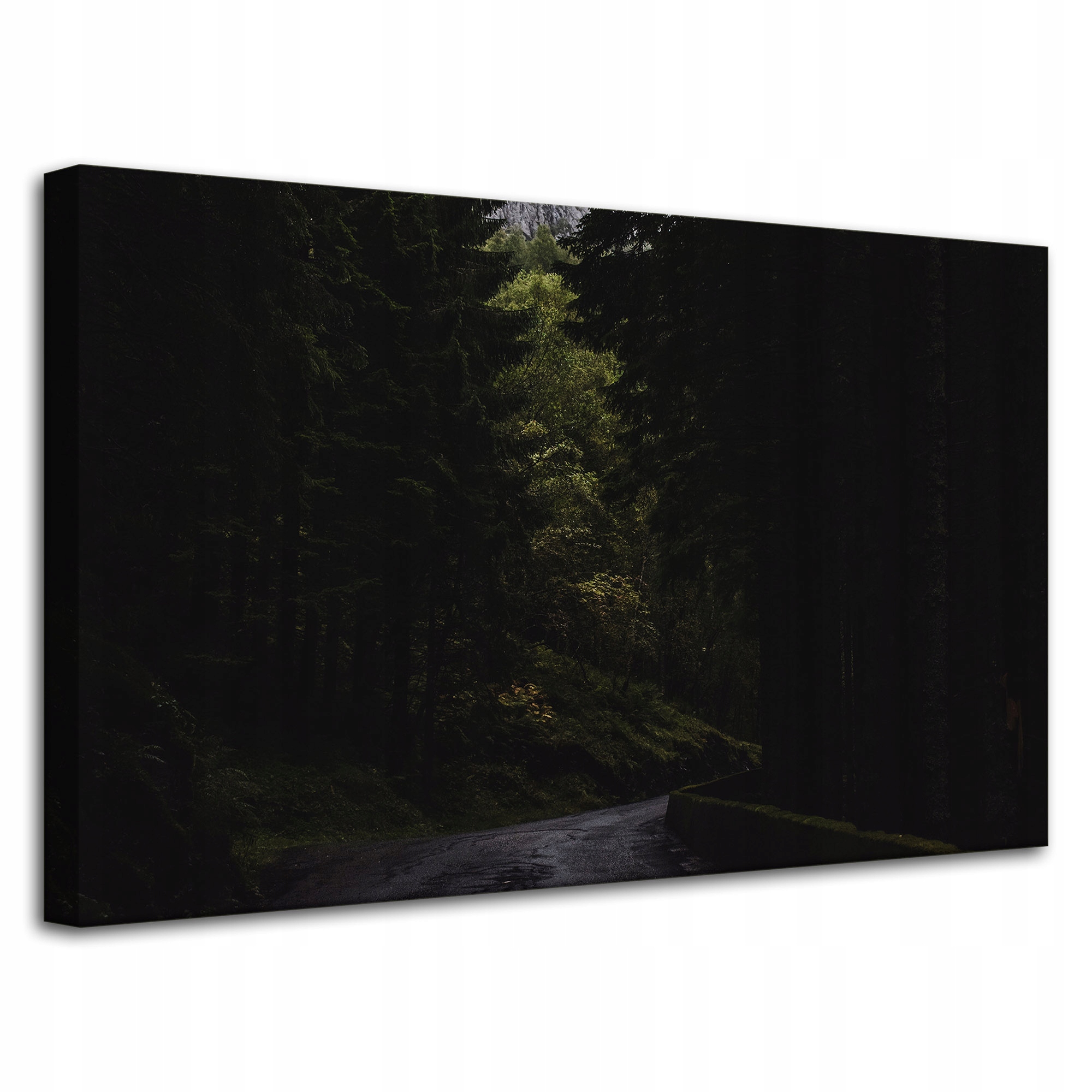 Obraz Canvas Příroda Temná horská cesta 80x50 cm