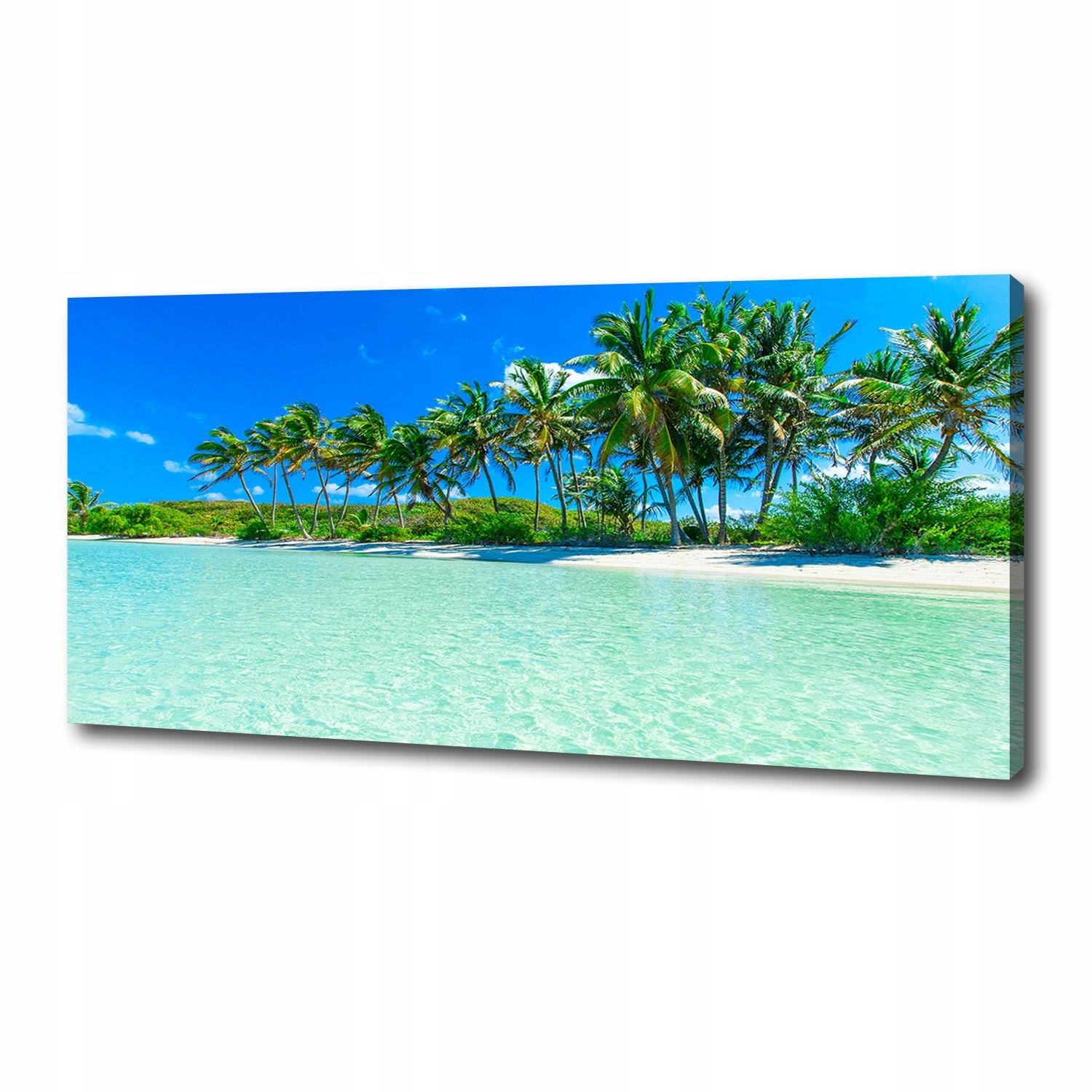 

Foto obraz na płótnie Tropikalna plaża 125x50 cm