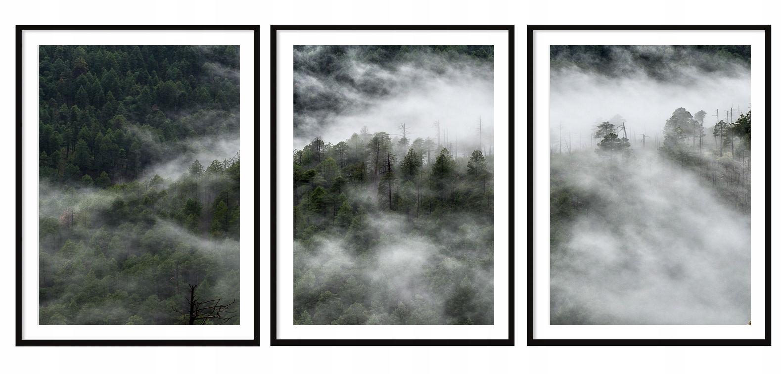 

Obraz Plakat W Ramie 33x43cm Tryptyk Las P2034