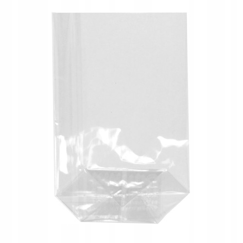 

Torebki foliowe klockowe 95x160mm Bopp 100szt