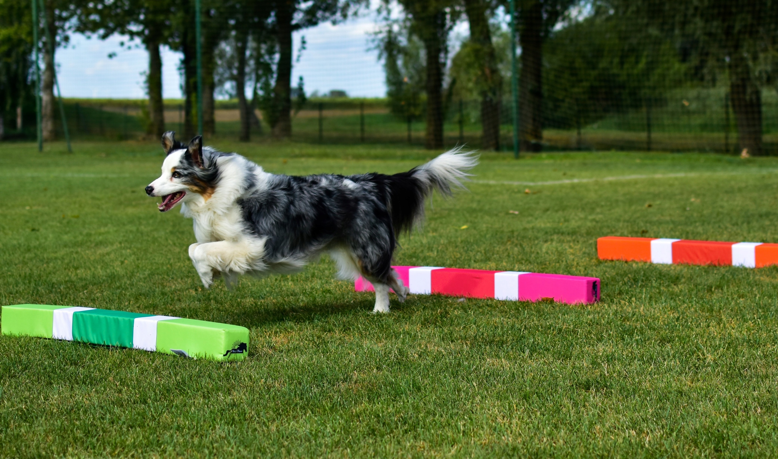 Překážky pro psa, tréninková sada pro psa, agility, 3 ks 110x10x10