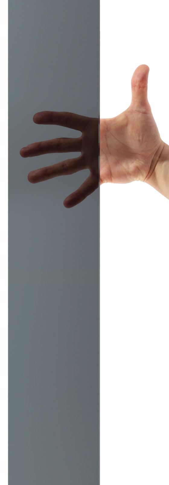 Drzwi prysznicowe szklane prysznic 100 grafitowe Wykończenie szkła inne