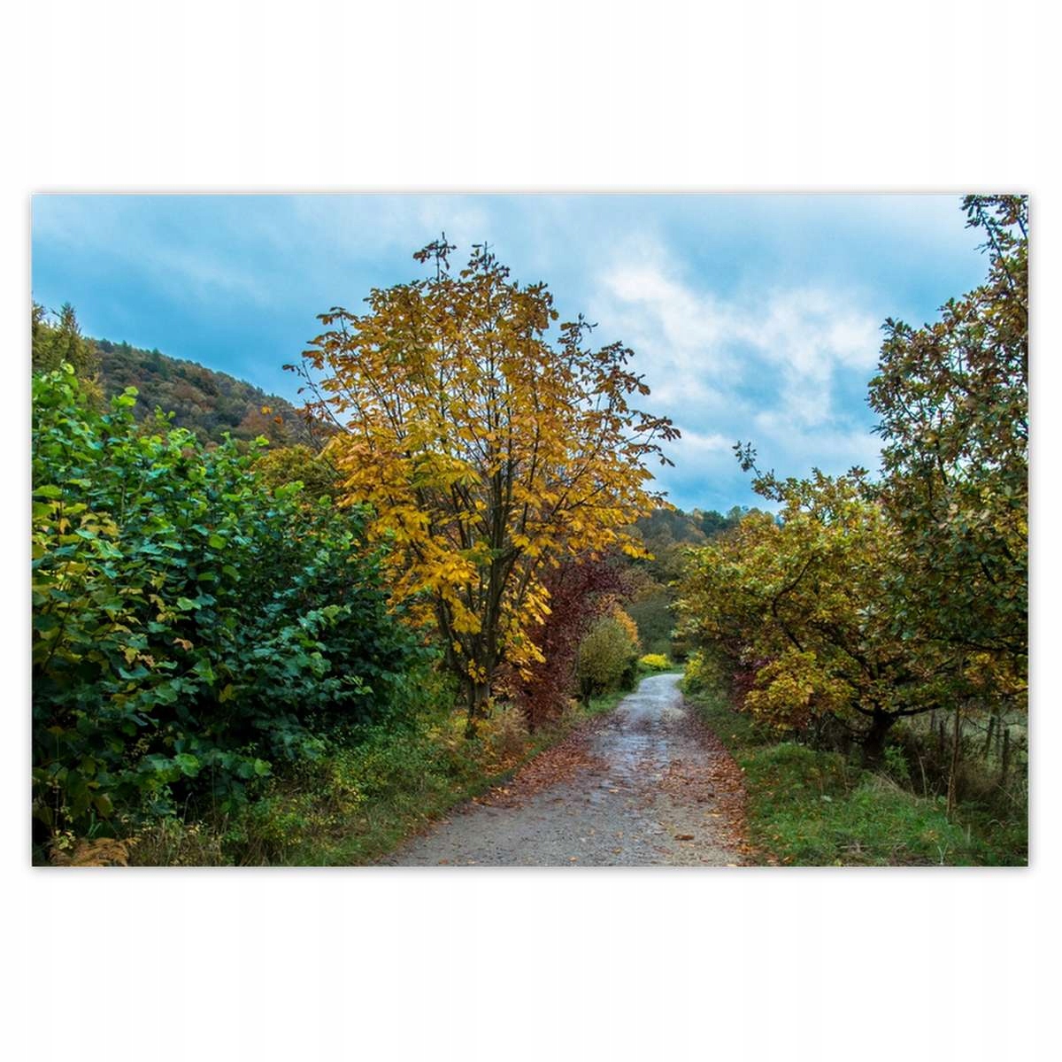 Plakáty 200x135 Stromy na podzim