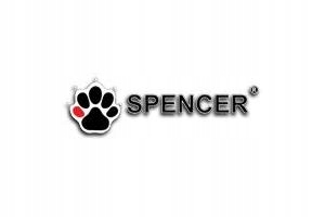 Spencer PM-IS 180 przód adapter hamulca tarczowego Kod producenta HAM167