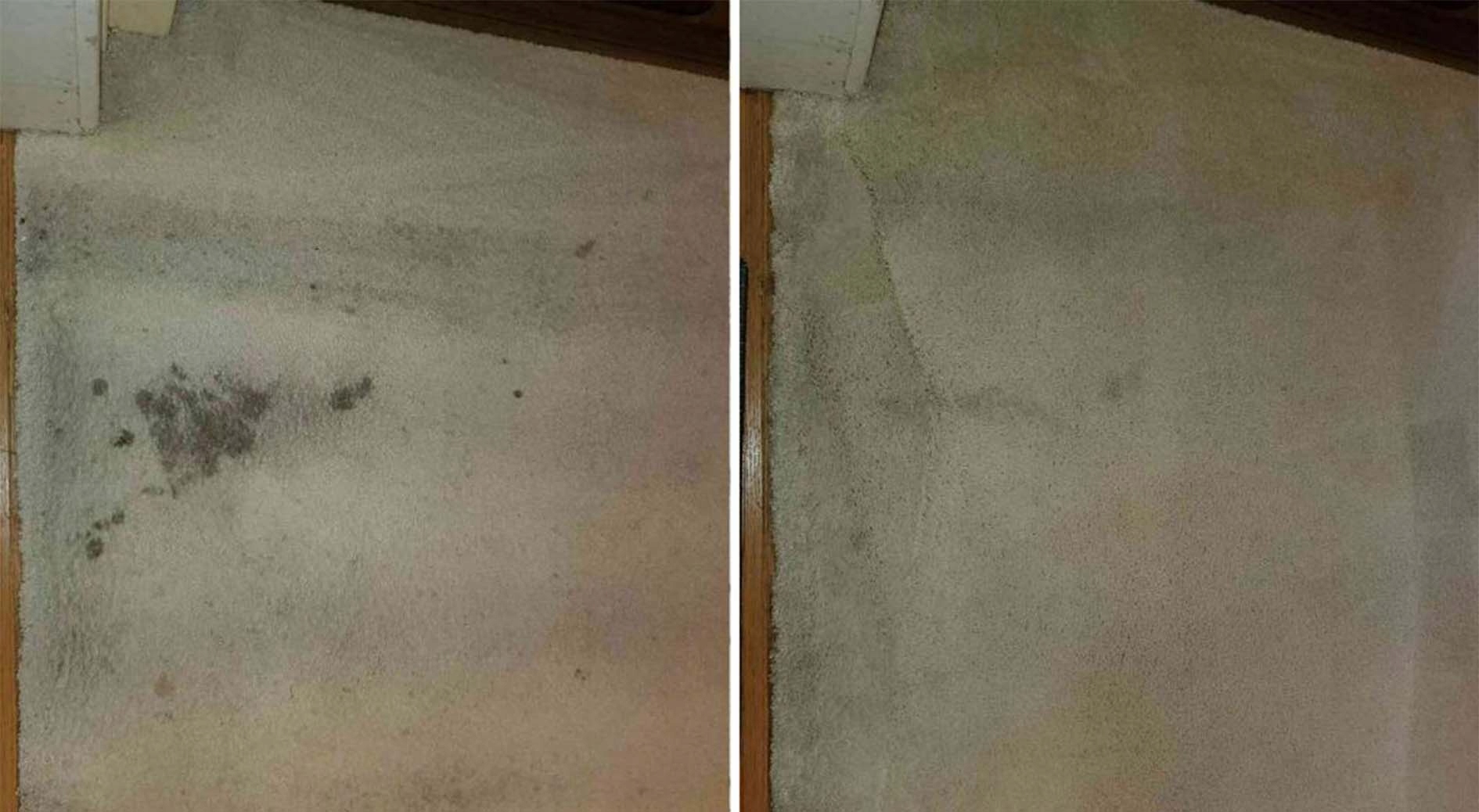 Global Clean Odplamiacz 3in1 P700 500ml Producent Inny