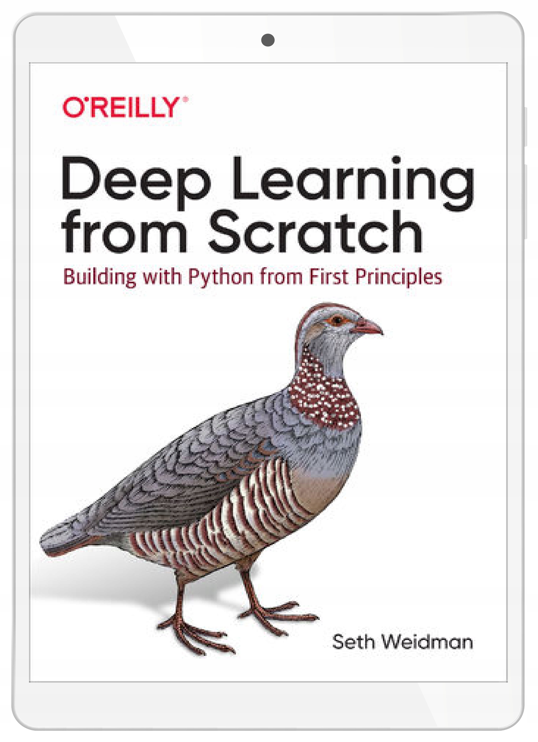 Deep Learning from Scratch. Building with Python