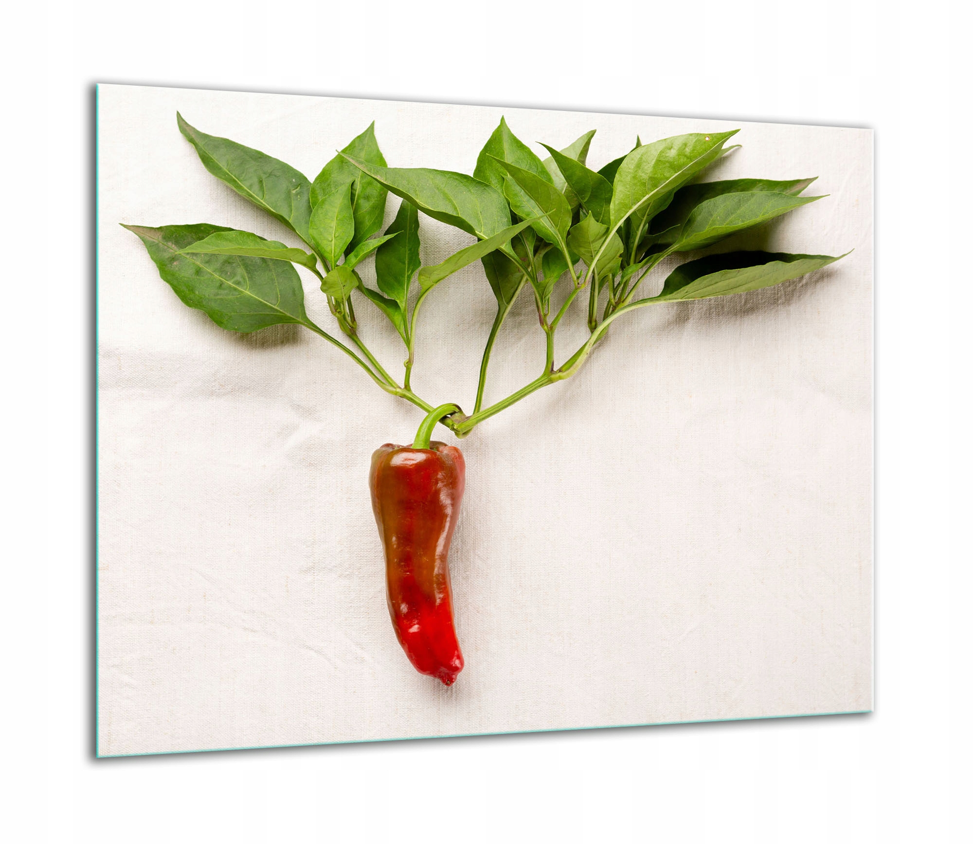 Skleněná Ochranná Deska Na Sporák 60x52 Paprika Kuchyně Indukce 7v1