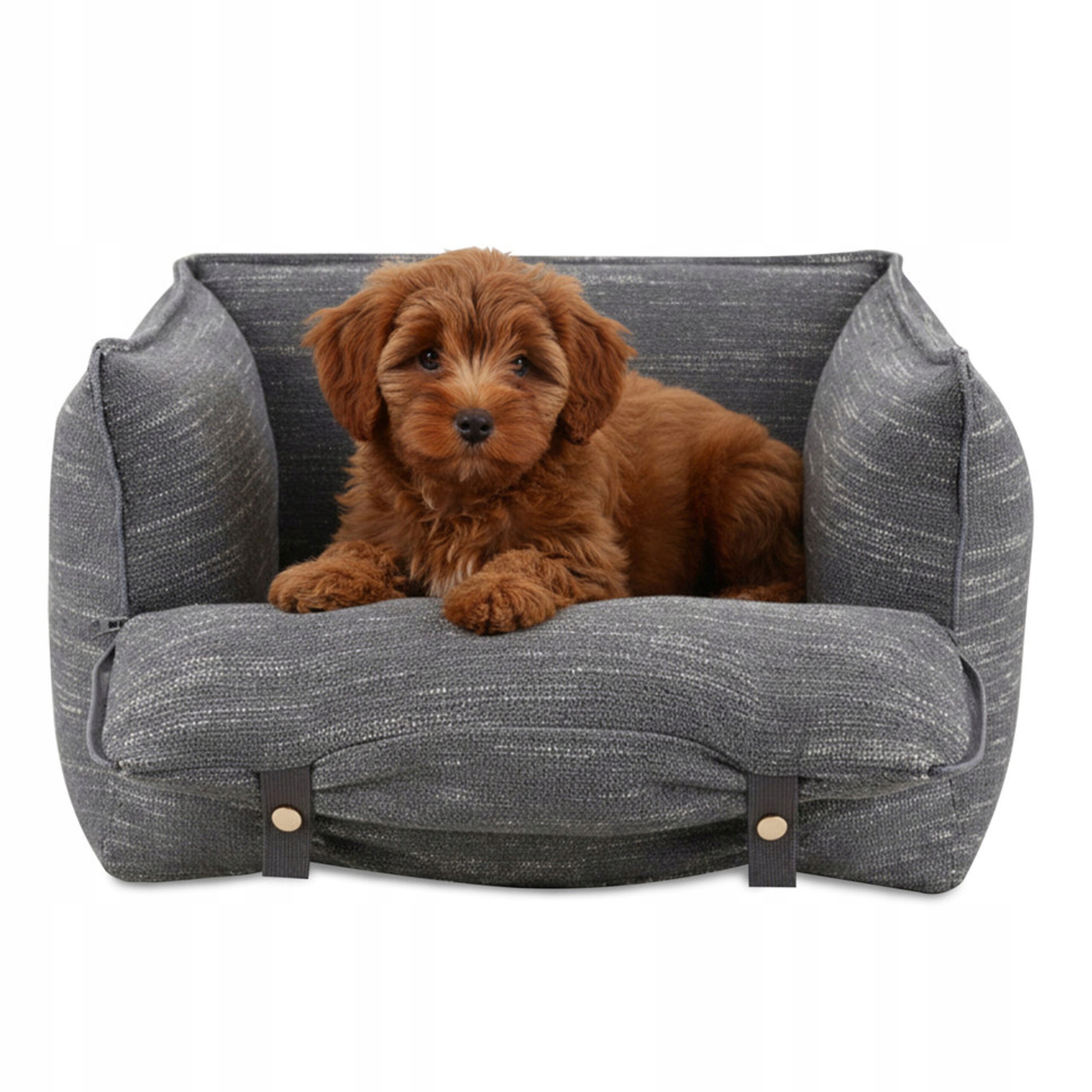 Levně Pelíšek do auta autosedačka pro psa 2v1 Odysey Carinio 56 × 47 × 33 cm