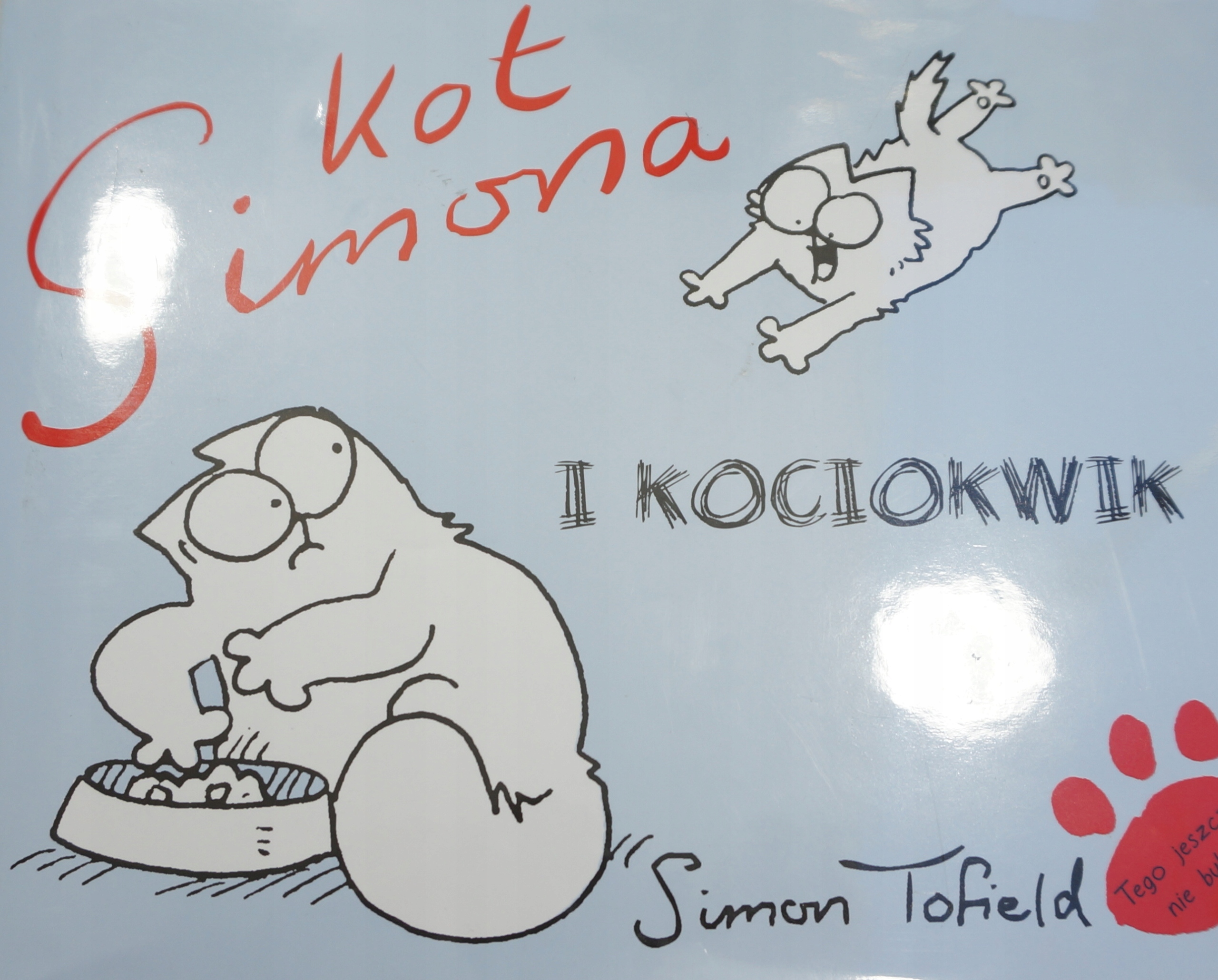 Kot Simona i Kociokwik Simon Tofield