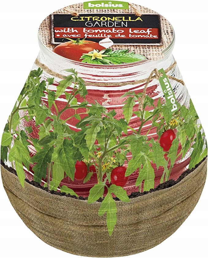 

Bolsius świeca w szkle Citronella Liść Pomidora